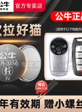 适用于 长城欧拉好猫GT汽车钥匙电池白猫 黑猫R1 IQ 闪电猫 芭蕾猫遥控器纽扣电子2021 22 23 24年新款电磁