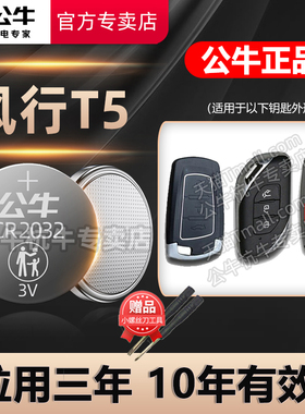 适用于 东风风行T5车钥匙电池T5 EVO钥匙电池 马赫盛世版1.5T手动汽车遥控器纽扣电子原装19年20 21 22 23款