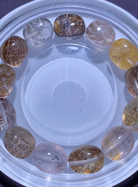 天然胶花小树随形单圈手链饰品女