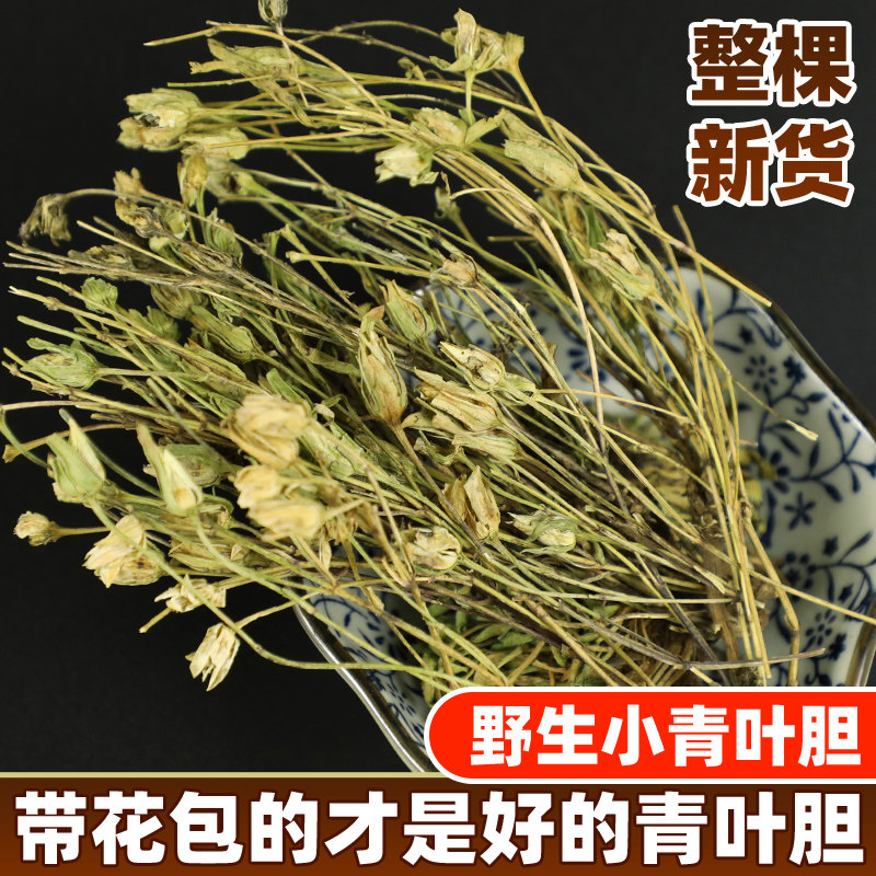云南野生青叶胆500g 中草药青叶丹走胆药草 小青鱼胆 七疸药