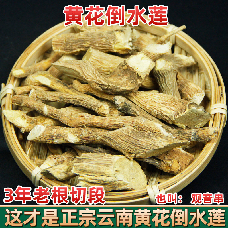 正宗云南野生黄花倒水莲根天然观音串 中药材月子茶倒吊黄500克
