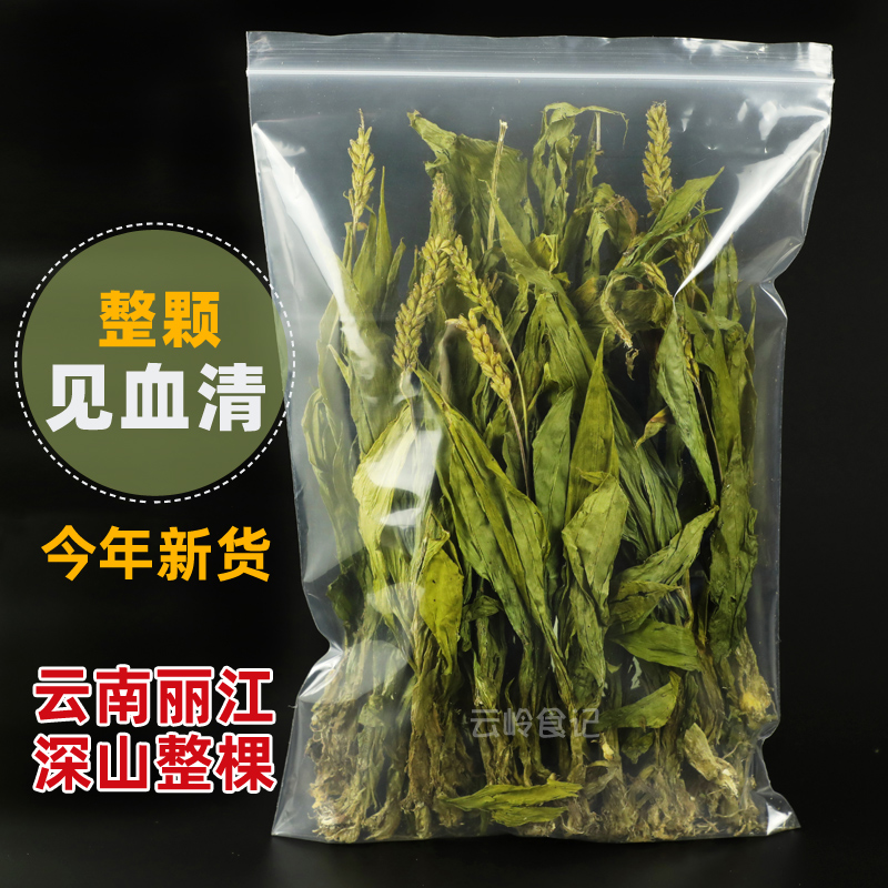 云南丽江见血清中药材整颗见血青草药羊儿蒜立地好今年野生新货