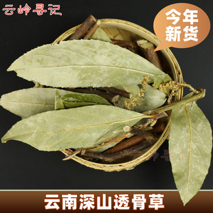 云南透骨草500g滇白珠中药材透骨香满山香泡酒泡脚泡澡另售伸筋草