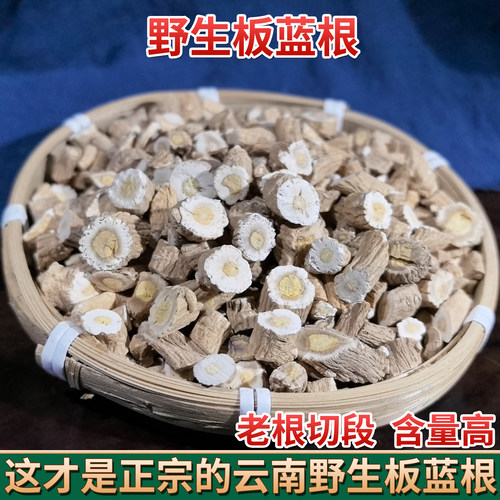 云南野生中药材板蓝根 菘蓝 板兰根 山蓝 大蓝根 马蓝根 正品包邮