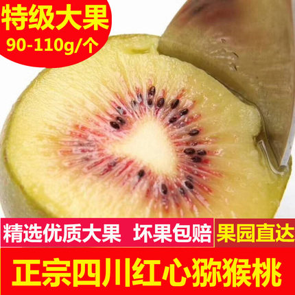 现摘正宗四川蒲江红心猕猴桃当季奇异果大果红阳5斤新鲜纯甜包邮