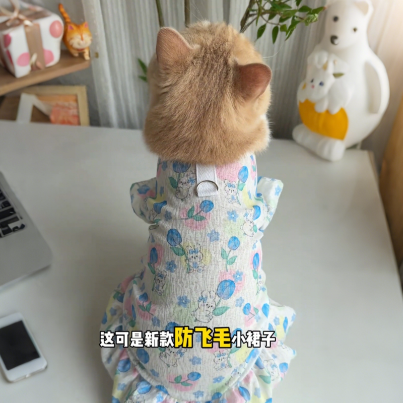 夏天猫咪衣服防掉毛薄款可牵引狗狗大小型犬裙子可爱小猫宠物背心