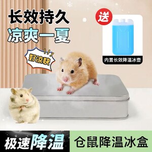 宠物龙猫夏季降温冰盒冰窝不锈钢冰垫仓鼠金丝熊荷兰猪散热板神器