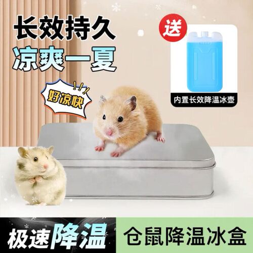 宠物龙猫夏季降温冰盒冰窝不锈钢冰垫仓鼠金丝熊荷兰猪散热板神器