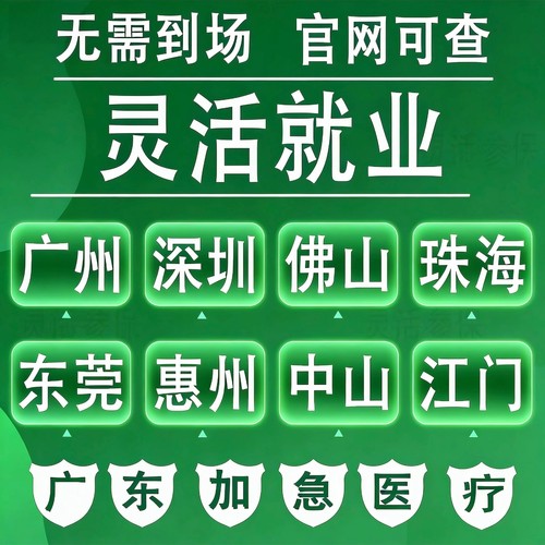 深圳广州惠州佛山珠海东莞灵活就业信息咨询养老医疗登记信息