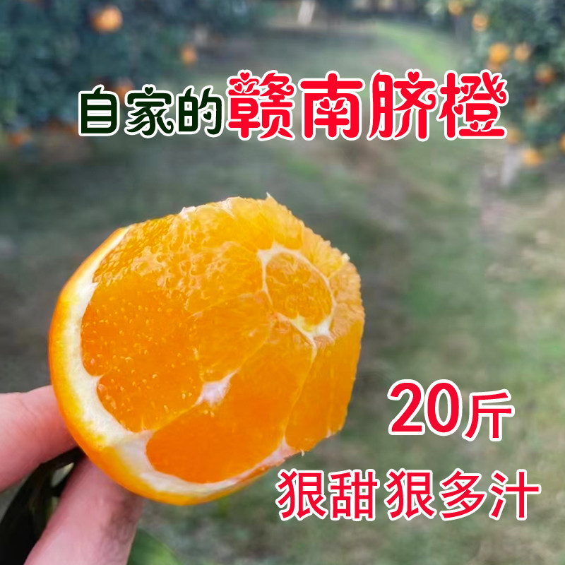 正宗江西赣南脐橙20斤大果橙子应季新鲜水果甜橙寻乌产地直发橙子,水产肉类/新鲜蔬果/熟食,橙,淘宝优惠券,粉丝福利购,淘宝优惠卷
