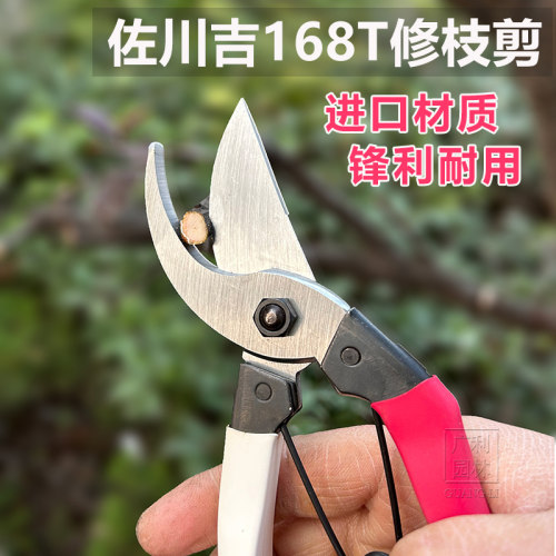 佐川吉修枝剪168T剪刀花枝剪粗枝剪子树枝剪园林修剪工具果树剪刀