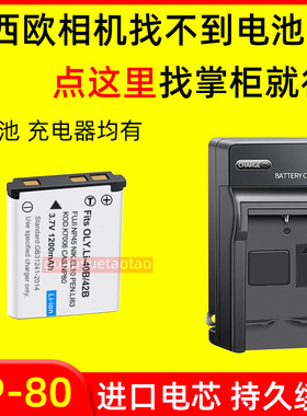 适用卡西欧CCD相机EX-ZS5/100/150 Z33 H50/H60  NP-80电池充电器