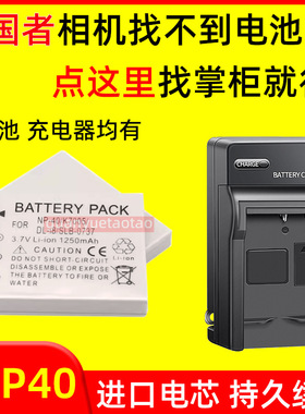 适用爱国者CCD相机电池DC T30 T60 T1028 V790 V750 V780 充电器