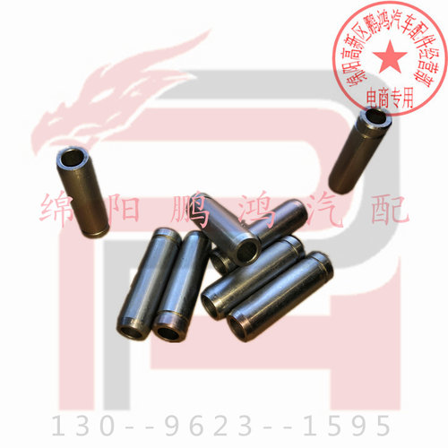 金杯阁瑞斯4G24大海狮2RZ 4RB1东风锐骐皮卡ZG24发动机气门套导管