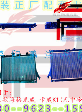 金龙海格龙威卡威K1皮卡车水箱总成散热网冷却防冻液箱散热器网板