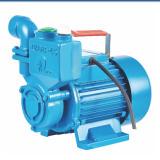 上海人民水泵厂有限公司25ZBD65-750W  自吸泵