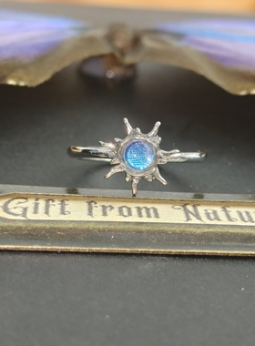 大蓝闪蝶真蝴蝶标本镀银戒指太阳图案精致ins设计生日礼物送女友