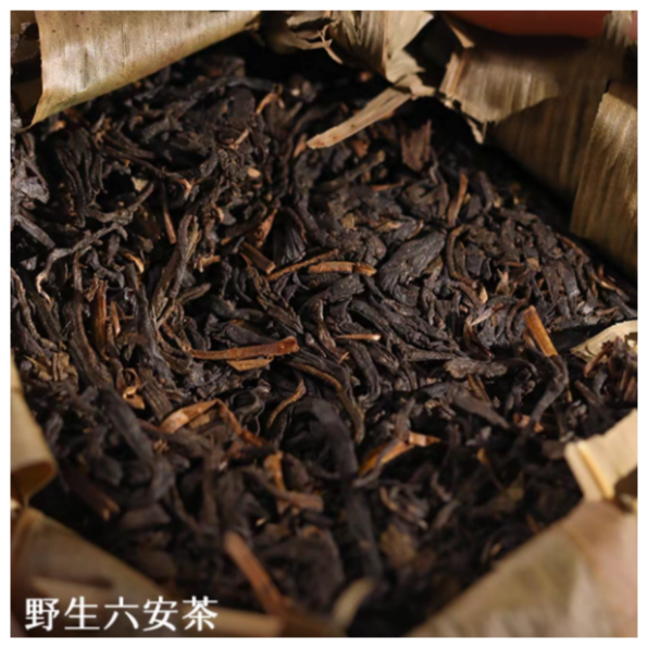 16年老店送订单险 9年陈黑茶软枝安茶孙义顺2015六安骨450克篓装