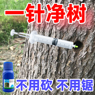 环嗪哃烂根树专用药除根除树根药枯死注射强力树根一针剂枯死药树