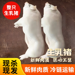 每日现杀新鲜冻乳猪脆皮烤乳猪整只酒店满汉全席喜宴烧烤食材小猪