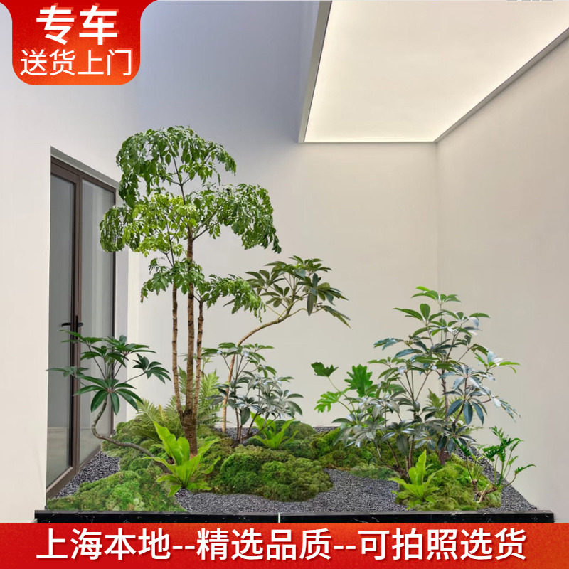 室内造景套餐真树鲜活绿植包种好