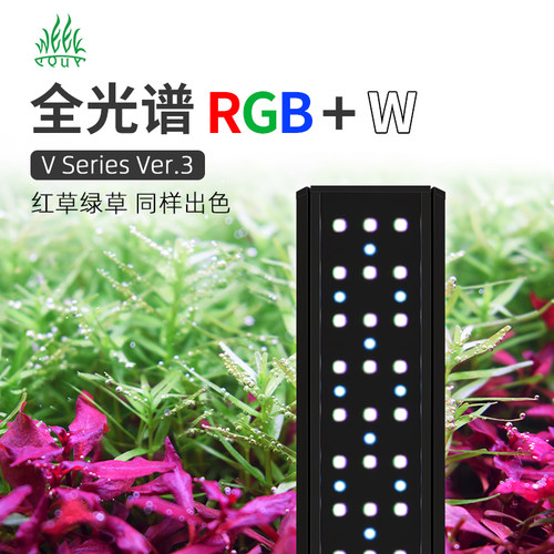 威尔康水草灯无极调光专业