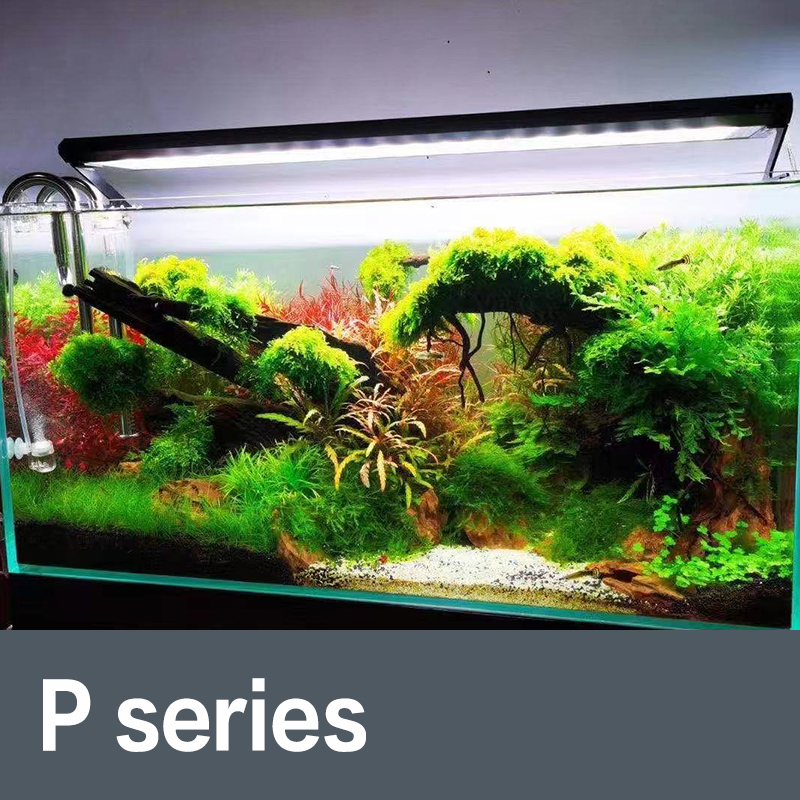 升级 威尔康水族鱼缸水陆造景灯app全光谱led植物生长水草灯p 乐龙优省