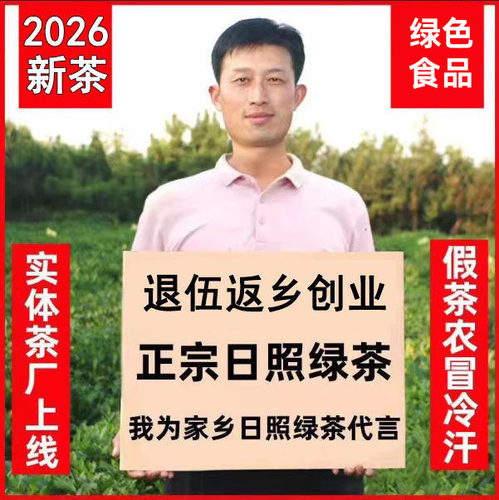 日照绿茶2026新茶叶春茶散装正宗山东板栗香特产特级耐泡500g礼盒