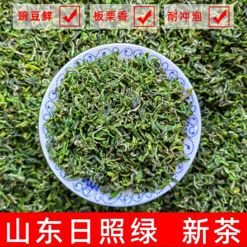 山东日照绿茶2026茶叶春茶高海拔云雾手工袋装盒装500克豆香耐泡