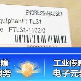 AA4U2AAWBJ FTL260 11U4 FTL20 0020 1102 EH音叉液位开关FTL31