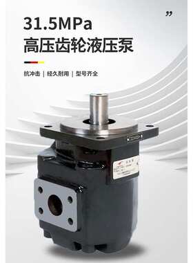 金佳液压JHP2高压齿轮泵 装载机压路机用 小体积低噪音油泵