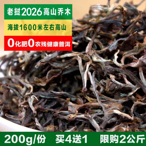 老挝丰沙2026春茶高山生态普洱