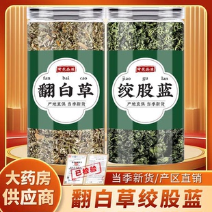 翻白草绞股蓝中药材组合茶正品原材料煮泡水喝的功效与作用