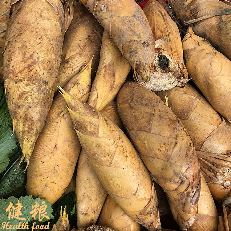 福建三明建宁新鲜野生冬笋农家现挖脆嫩毛竹笋黄泥拱鲜笋笋尖包邮