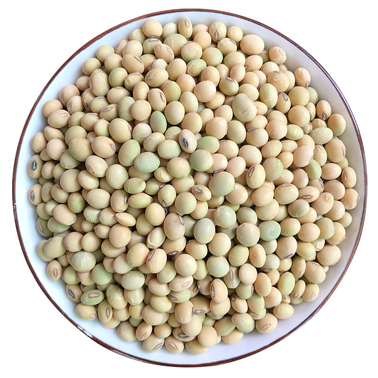 农家自种小粒黄豆2斤 打豆浆专用福建非转基因可发豆芽小颗粒黄豆