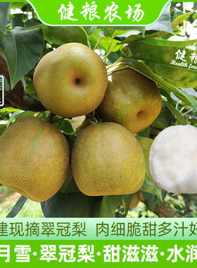 福源三明建宁现摘新鲜翠冠梨子