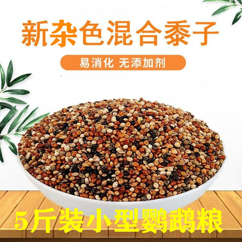 好鸣声鹦鹉粮产地直销