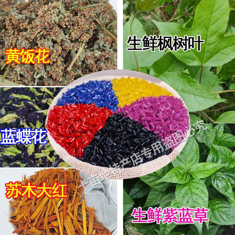 广西五色糯米饭植物染料天然紫蓝草密蒙花染饭花5彩色花米饭材料
