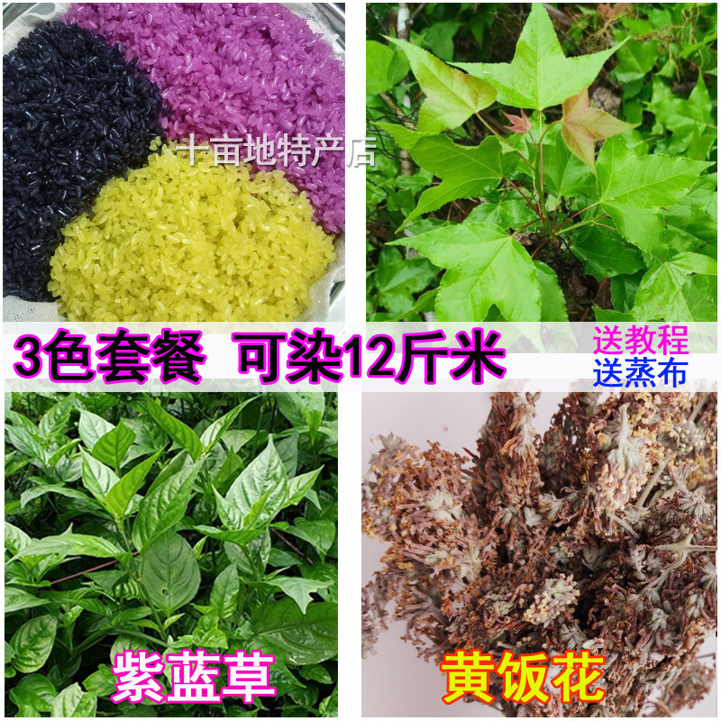 五色糯米饭植物染料五七彩新鲜草云南广西贵州乌饭叶材料蒸笼布垫