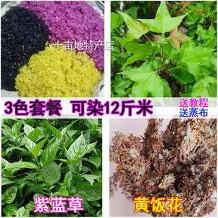 五色糯米饭植物染料新鲜紫蓝草云南广西贵州香枫叶密蒙花染饭花