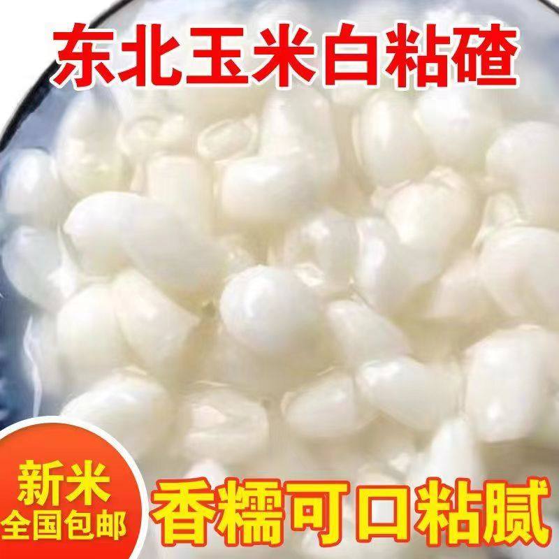 东北农家自产白碴子粘玉米甜香糯颗粒粗粮玉米碴子现磨杂粮特产
