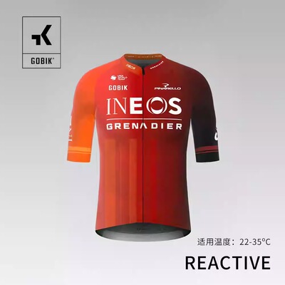 GOBIK夏季骑行服INEOS车队版透气舒适骑行短袖REACTIVE