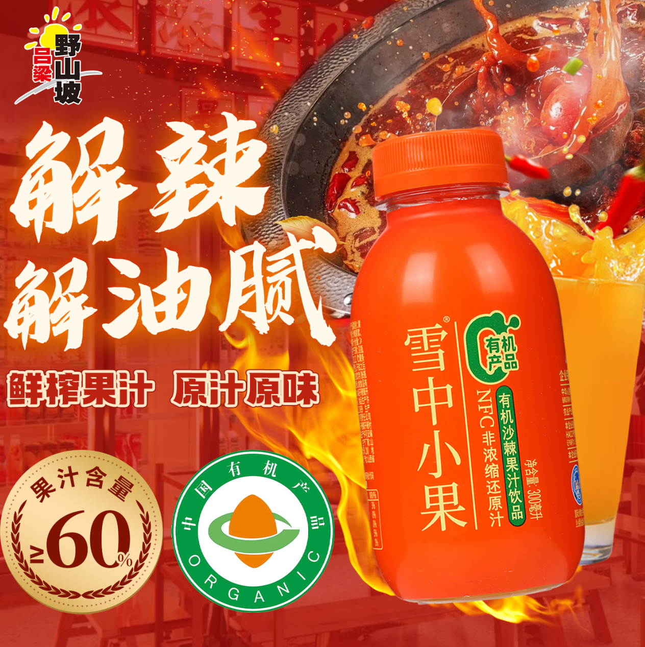 【吕梁野山坡】山西雪中小果有机生榨沙棘汁饮料瓶装果汁解渴饮料