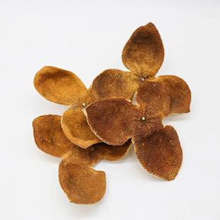 广西长寿之乡浦北土特产老树陈皮各种年份大红柑茶枝柑皮陈皮泡茶