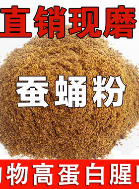 纯蚕蛹粉钓鱼用高蛋白特腥鱼饵