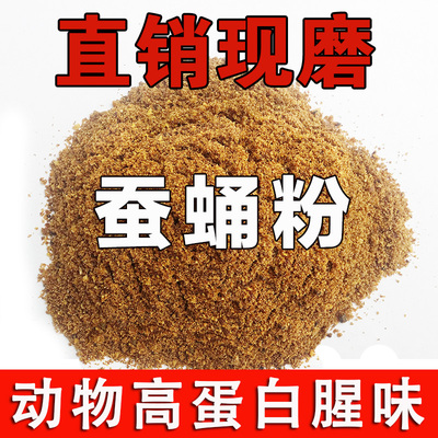 纯蚕蛹粉钓鱼用高蛋白特腥鱼饵