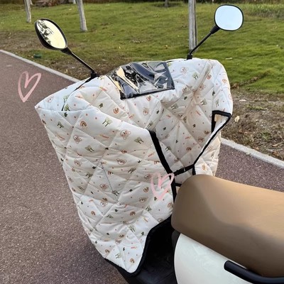 适用九号猎户座dz110P电动车挡风