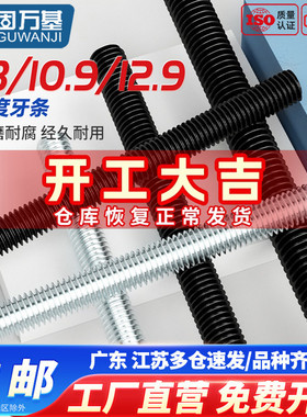 8.8/10.9/12.9级高强度丝杆全螺纹牙条通丝杆全牙螺杆M6M8M10-M48