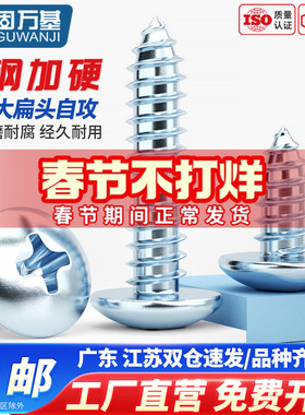 蓝锌加硬十字大扁头自攻螺丝钉蘑菇伞头自攻钉TA尖尾木螺钉M4M5