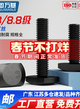 T型螺丝8.8级GB37压板螺丝高强度发黑T形槽用螺栓M8M10M12M30M36